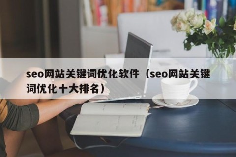 seo网站关键词优化软件（seo网站关键词优化十大排名）
