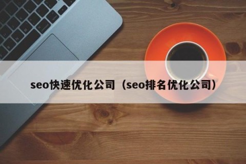 seo快速优化公司（seo排名优化公司）