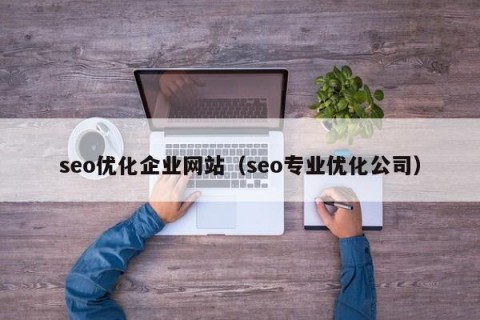 seo优化企业网站（seo专业优化公司）