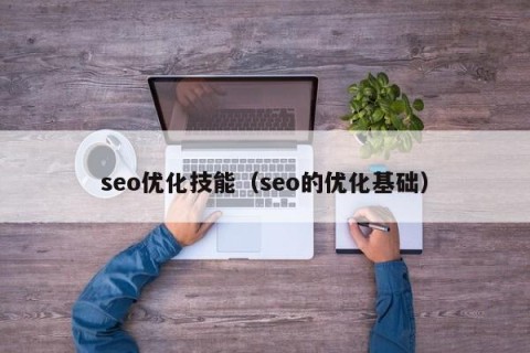 seo优化技能（seo的优化基础）