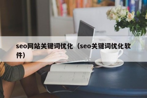 seo网站关键词优化（seo关键词优化软件）