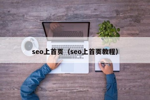 seo上首页（seo上首页教程）
