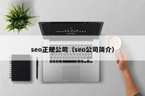 seo正规公司（seo公司简介）