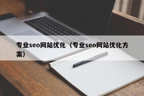 专业seo网站优化（专业seo网站优化方案）