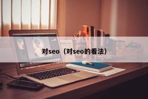 对seo（对seo的看法）