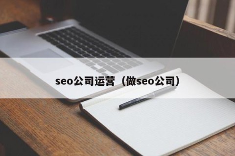 seo公司运营（做seo公司）