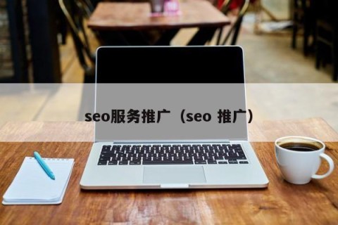 seo服务推广（seo 推广）