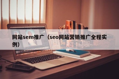 网站sem推广（seo网站营销推广全程实例）