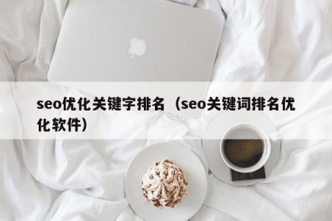 seo优化关键字排名（seo关键词排名优化软件）