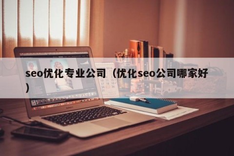 seo优化专业公司（优化seo公司哪家好）