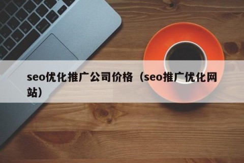 seo优化推广公司价格（seo推广优化网站）