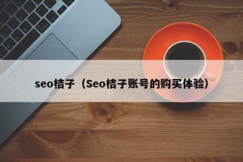 seo桔子（Seo桔子账号的购买体验）