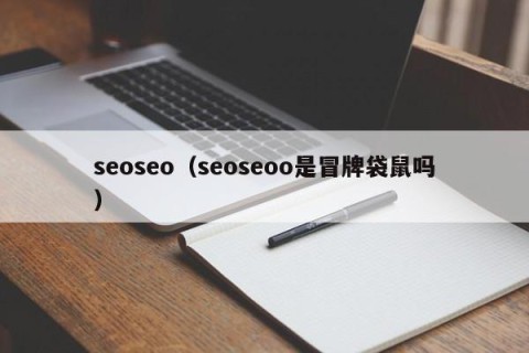 seoseo（seoseoo是冒牌袋鼠吗）