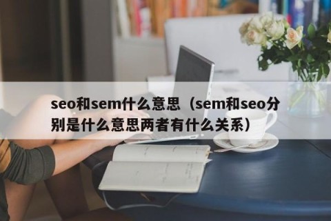 seo和sem什么意思（sem和seo分别是什么意思两者有什么关系）