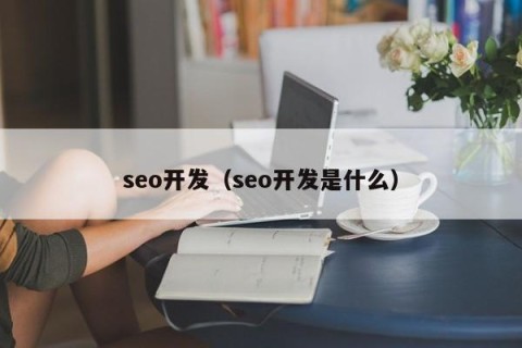 seo开发（seo开发是什么）