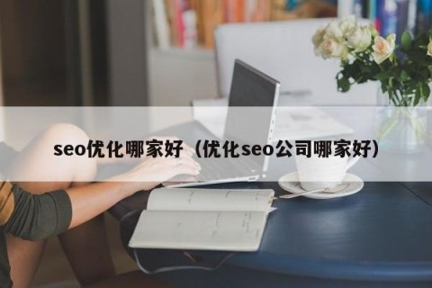 seo优化哪家好（优化seo公司哪家好）