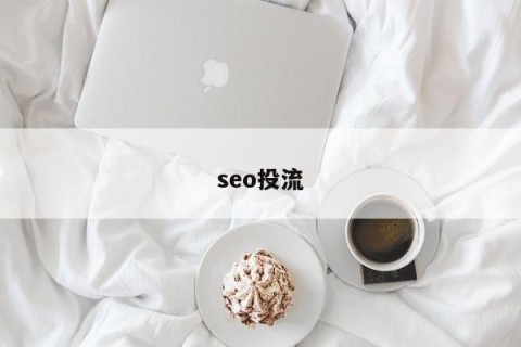 seo投流