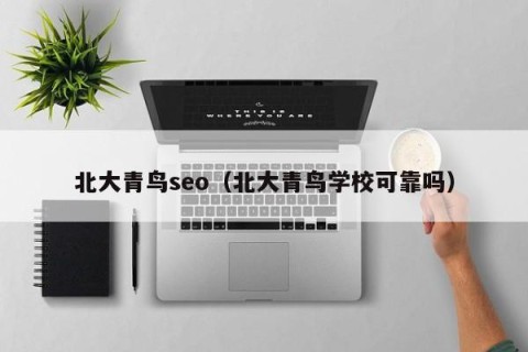 北大青鸟seo（北大青鸟学校可靠吗）