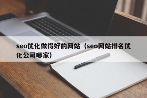 seo优化做得好的网站（seo网站排名优化公司哪家）