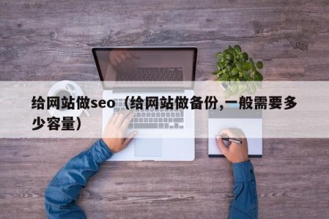 给网站做seo（给网站做备份,一般需要多少容量）