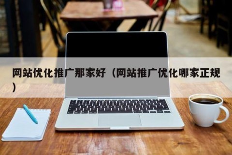 网站优化推广那家好（网站推广优化哪家正规）