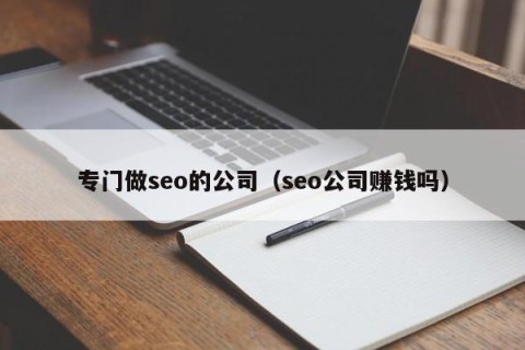专门做seo的公司（seo公司赚钱吗）